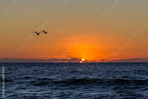 Birds Flying Over Setting Sun on Florida Coast
