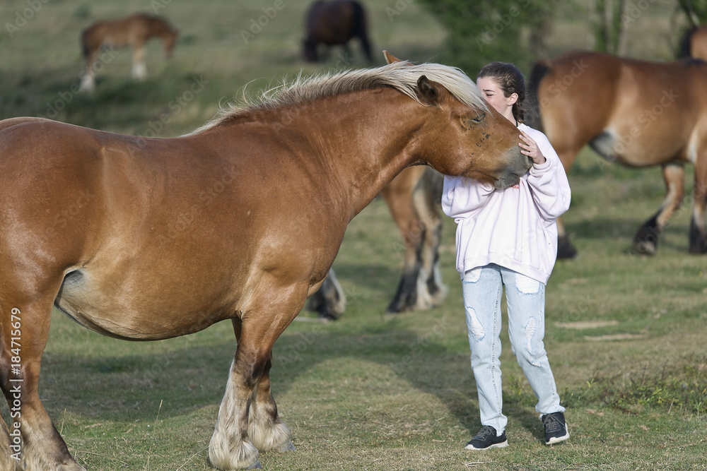 Obraz premium Teenager with Horses in a meadow