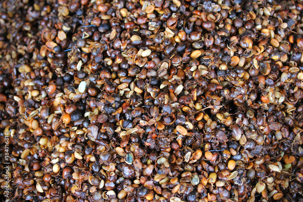 husk coffe beans affter peel husk coffe beans affter peel