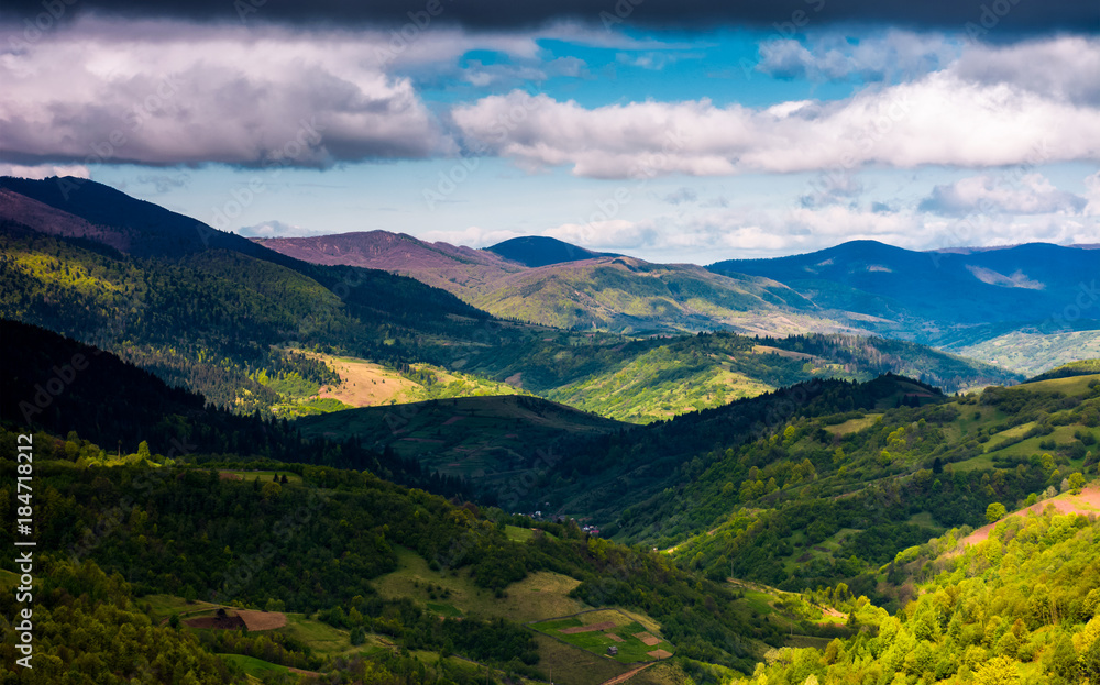 Fototapeta premium rolling forested hills on a cloudy springtime day. beautiful scenery of mountainous countryside