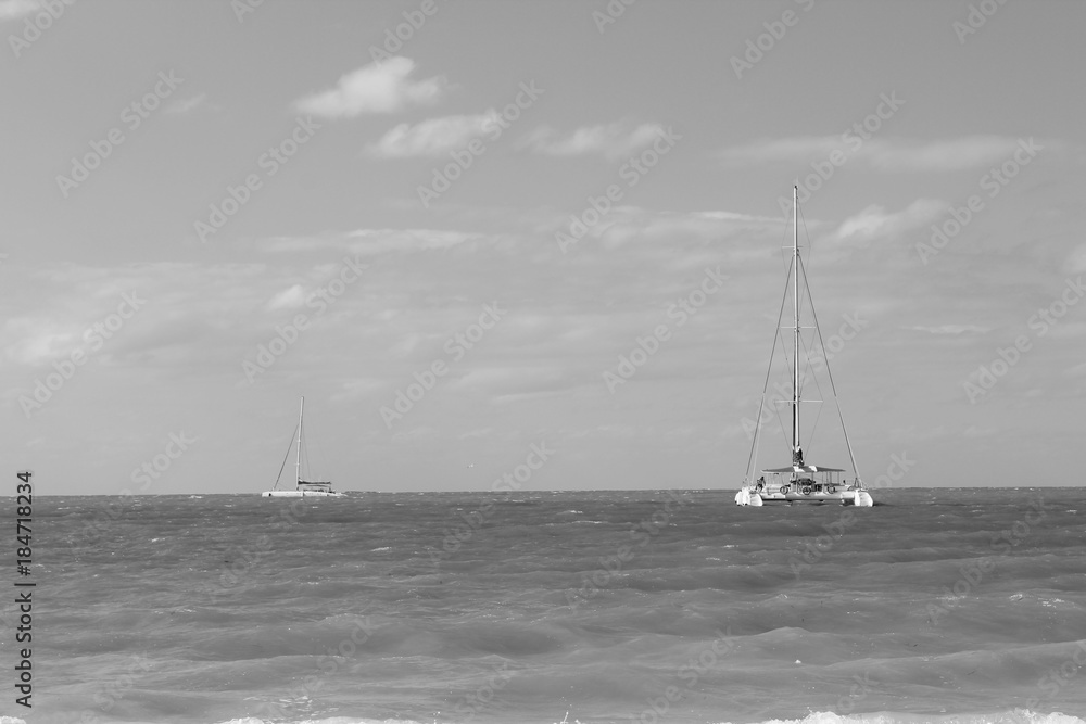catamaran à la mer noir et blanc