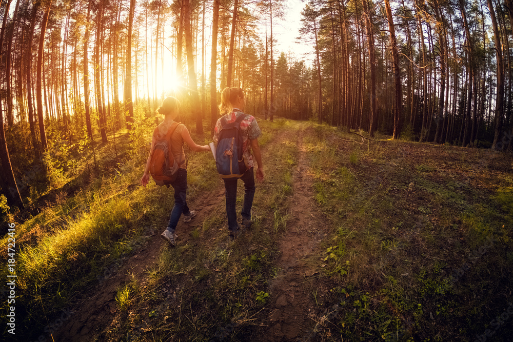 Two ladies walking on a road in a forest at sunny day Two ladies walking on a road in a forest at sunny day