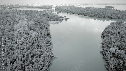 Black and white aerial, Wouri Delta photo