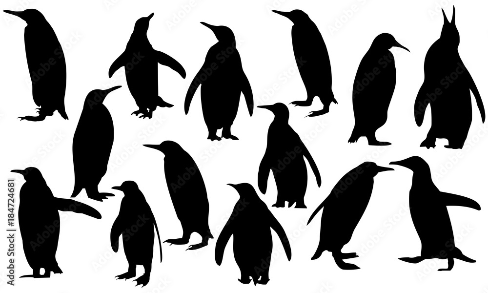 Naklejka premium kolekcja pingwinów sylwetka