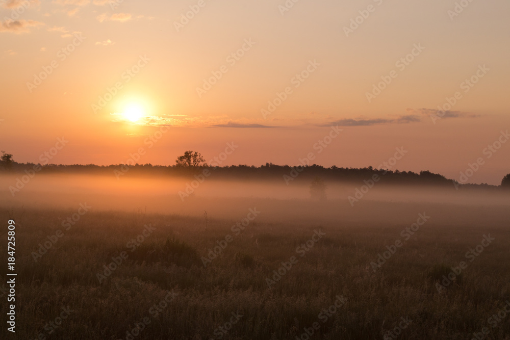 Foggy sunrise morning on meadow