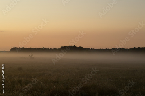 Foggy sunrise morning on meadow