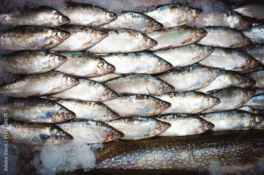 fresh fish on the store shelves, diet food seafood