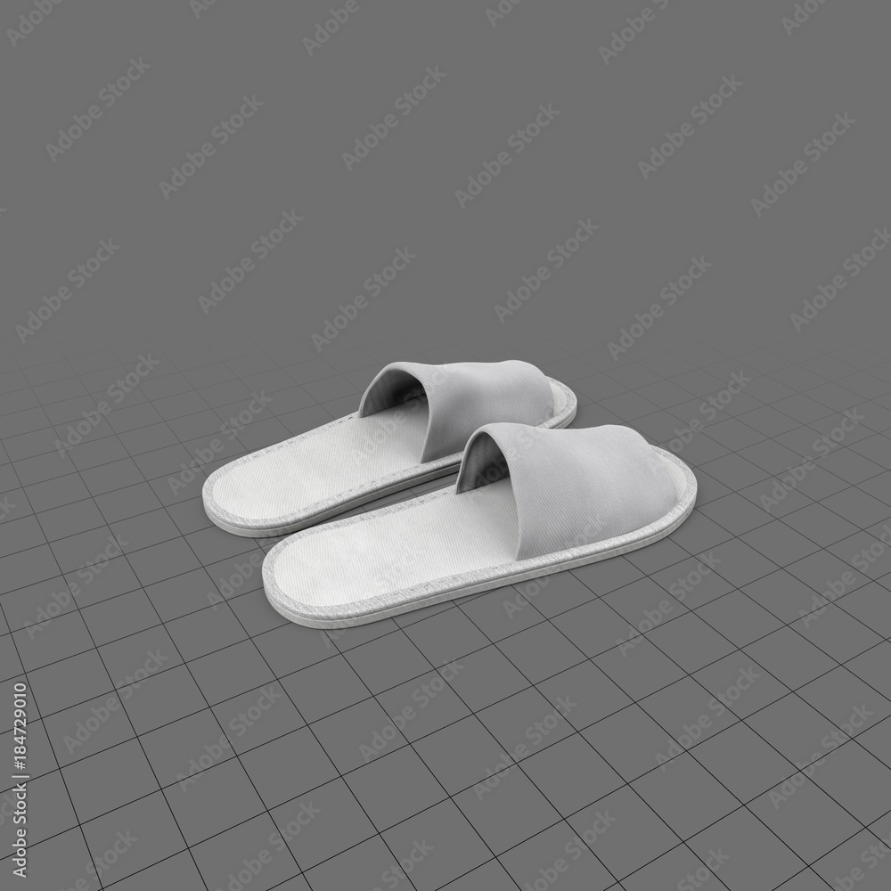 Slippers and Flip-Flops 3D model | CGTrader