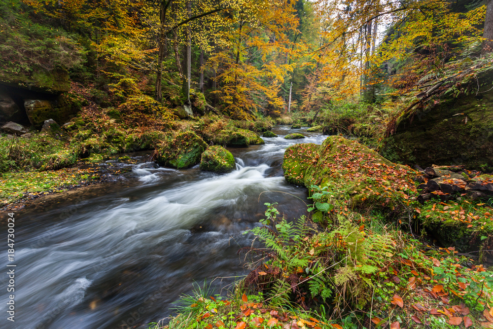 Bohemian Switzerland national Park, Czech Republic Bohemian Switzerland national Park, Czech Republic