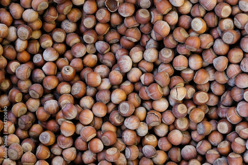 Raw hazelnuts heap texture background. Hazelnuts other name is filberts nuts. Raw hazelnuts heap texture background. Hazelnuts other name is filberts nuts.