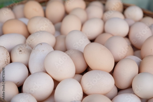 Dirty white organic raw chicken eggs closeup
