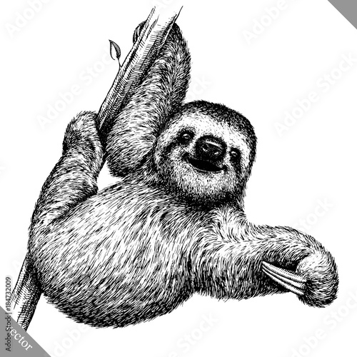 black and white engrave isolated sloth vector illustration