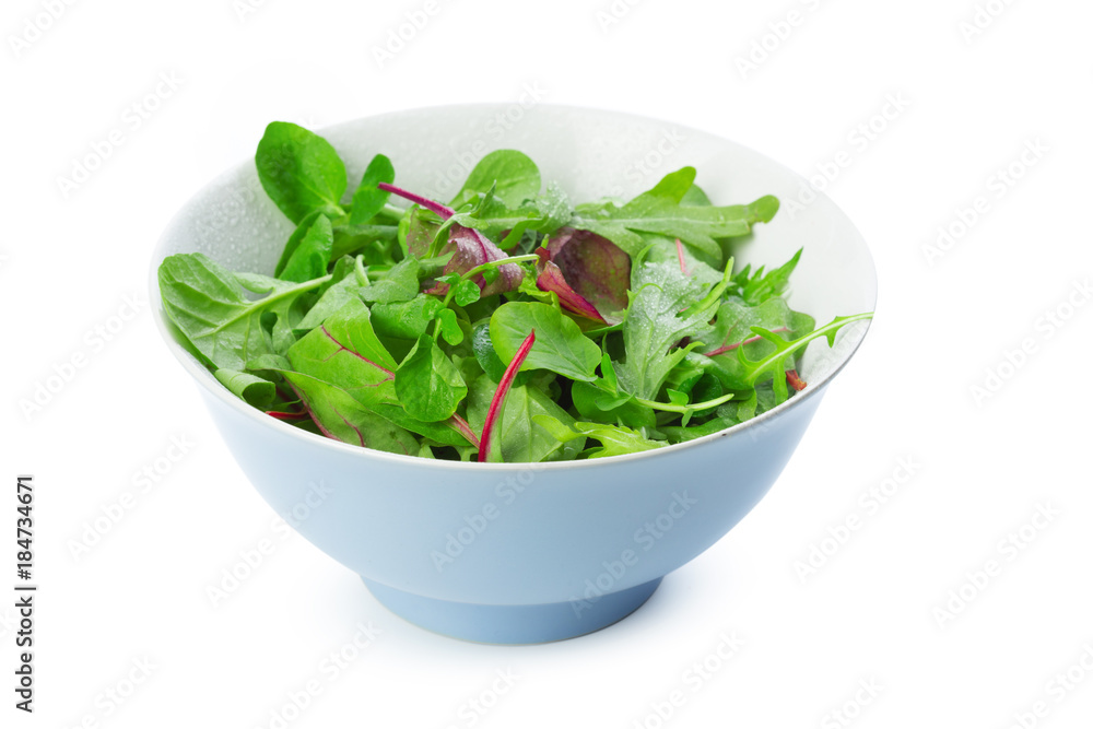 Greenery close up isolated on white background Greenery close up isolated on white background
