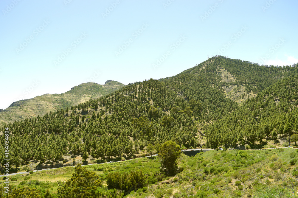 Santiago Del Teide countryside