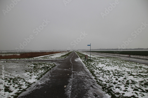 Field with brussels sprouts in the winter with snow on the fields in the Eendragtspolder  Zevenhuizen