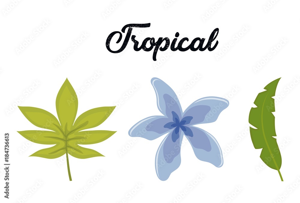 set of tropical leaves and flowers design
