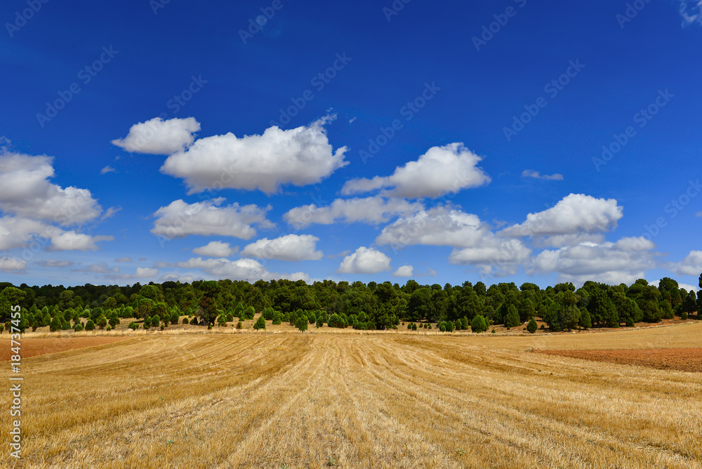 fields,forests,clouds, nature and relaxing