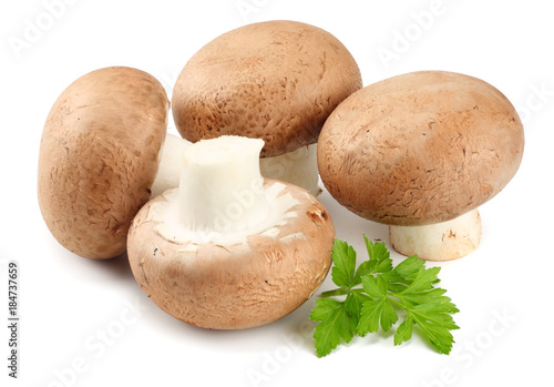 Fresh champignon mushrooms with parsley isolated on white background
