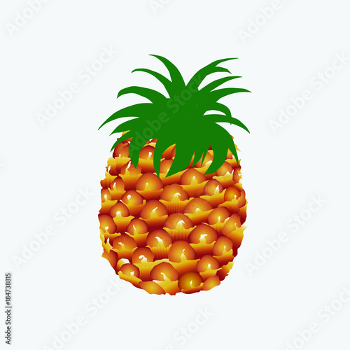 Pineaple fruit illustration isolated on white background