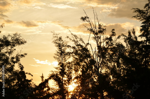 Sonnenuntergang Tanzania photo