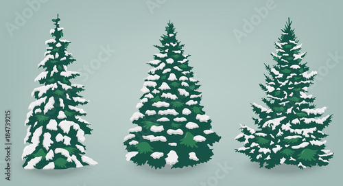Snow trees set on isolated background. Christmas tree. Vector