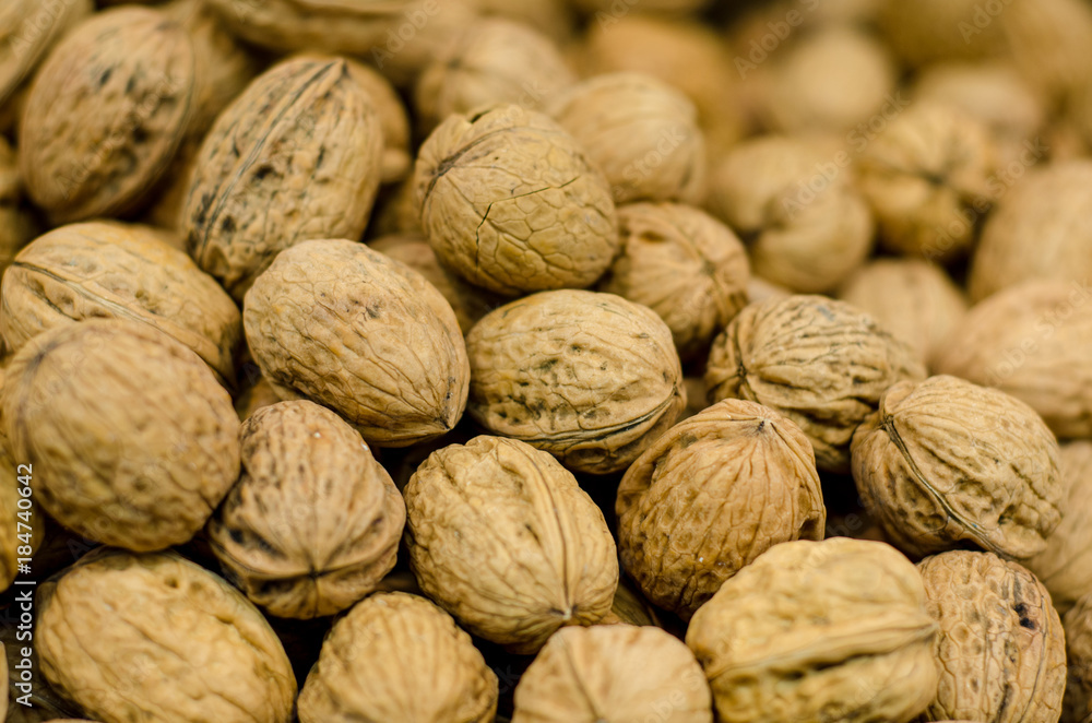 Walnut in shell Walnut in shell