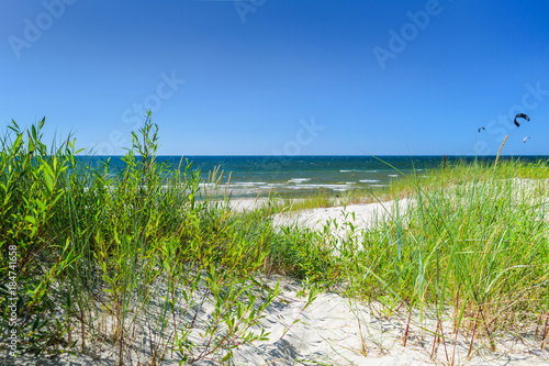 Sea seen through the grass