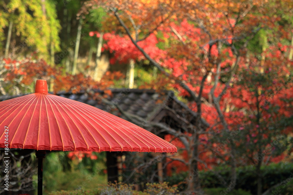 海蔵寺の和傘と紅葉