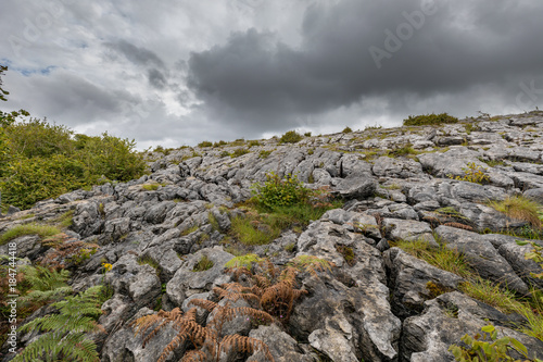 Unique rocks in Burren National Park