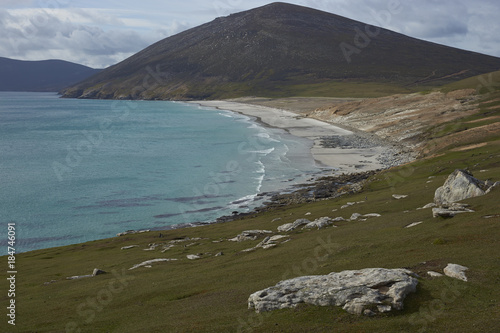 The Neck on Saunders Island in the Falkland Islands; home to multiple colonies of Gentoo Penguins (Pygoscelis papua) and other wildlife. photo