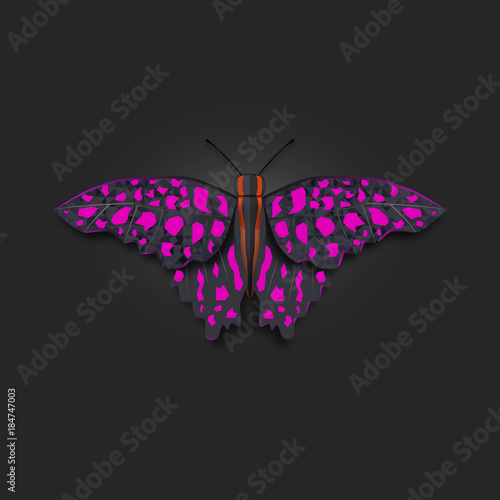Vector illustration light purple butterfly on dark background.