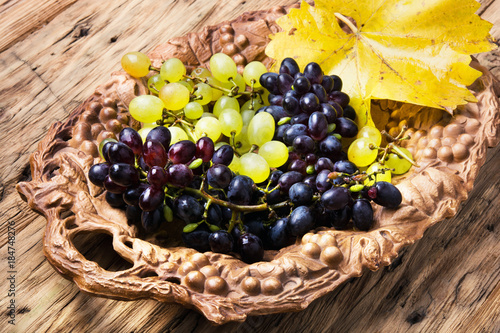 autumn grapes on tray