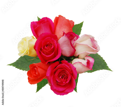 Colorful roses, beautiful flower bouquet on white background