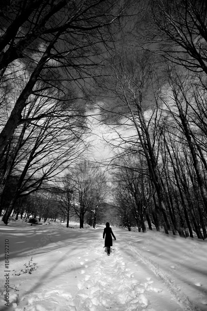 Camminare nella neve in mezzo alla foresta
