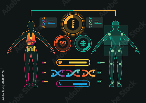 Human Anatomy