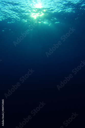 Fototapeta Naklejka Na Ścianę i Meble -  Underwater blue background