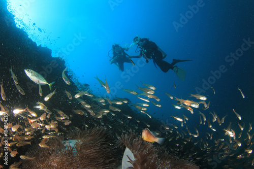 Scuba divers exploring coral reef