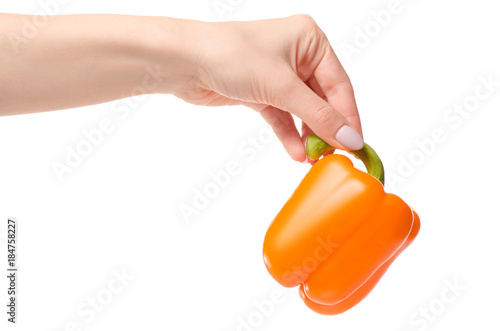 Orange pepper in a hand
