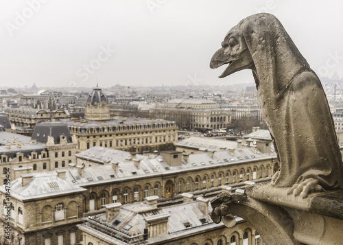 Chimera of the Notre-Dame of Paris cathedral (France) - horizontal