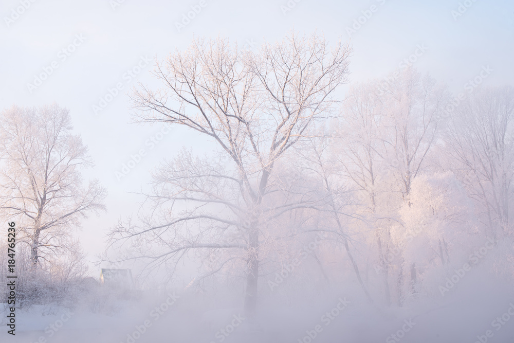 amazing landscape with frozen snow covered trees at sunrise  
