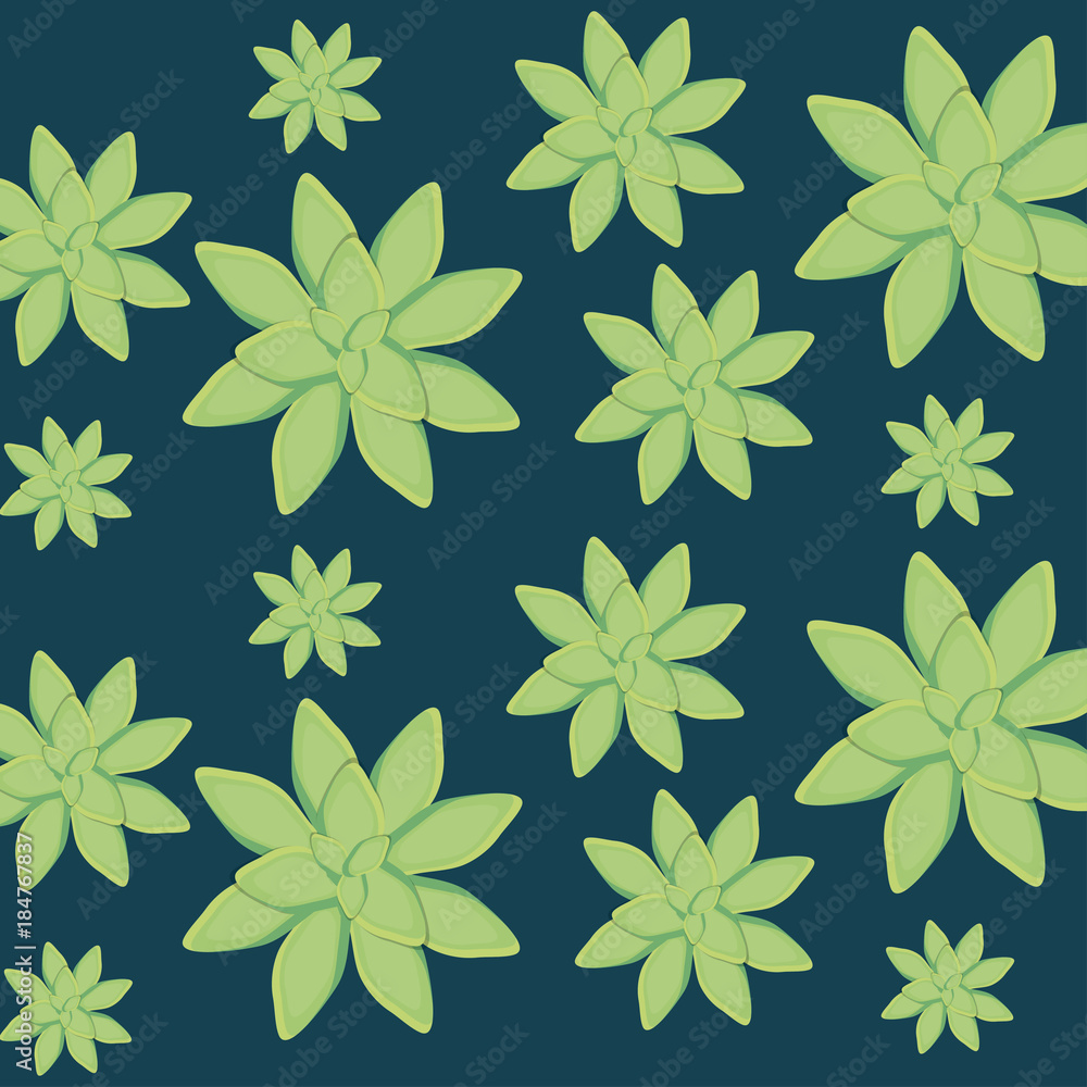 succulent plant seamless pattern succulent plant seamless pattern