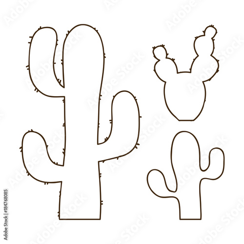 hand drawn outline cactus set