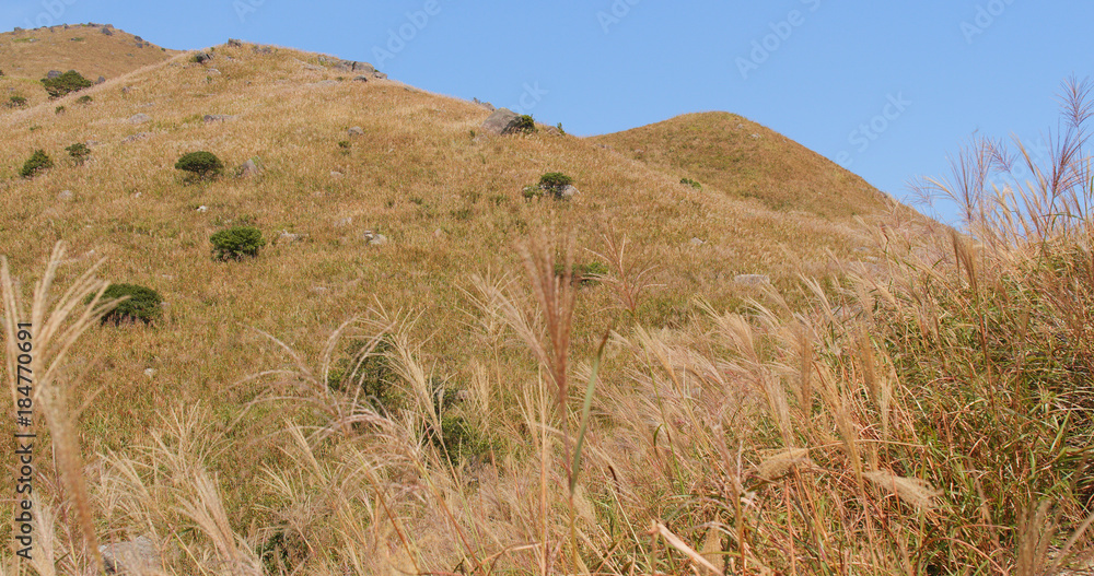Beautiful Autumn sunset peak in Hong Kong