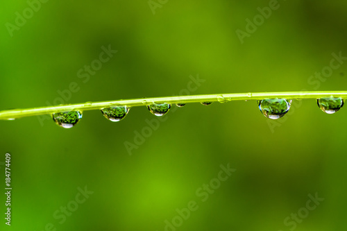Water drop beads