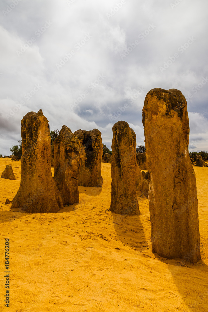 Portrait view of the limestone pinnacles in the Pinnacles National Park, Cervantes, Western Australia