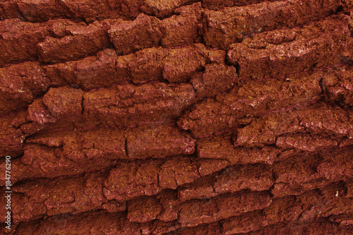Texture of a tree from mahogany.