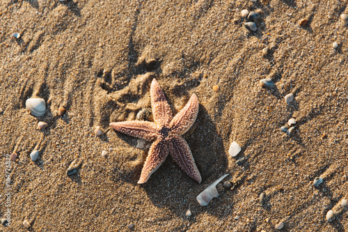 In Zandvoort at the beach