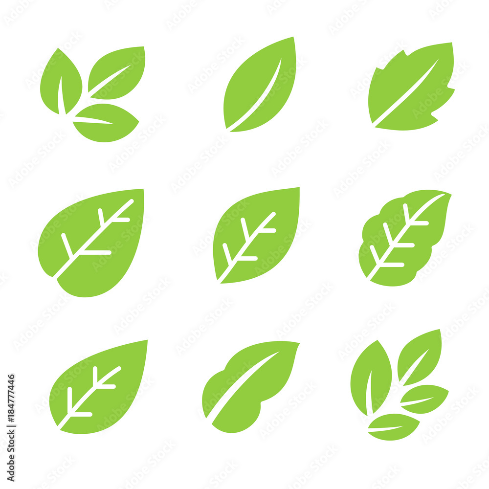 Leaves icon.Leaf logo. Green and nature symbol. Organic icons. Leaves icon.Leaf logo. Green and nature symbol. Organic icons.
