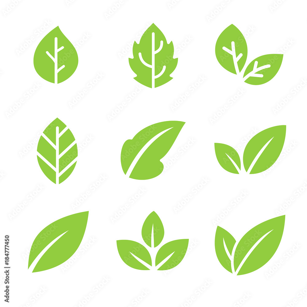 Leaves icon.Leaf logo. Green and nature symbol. Organic icons. Leaves icon.Leaf logo. Green and nature symbol. Organic icons.