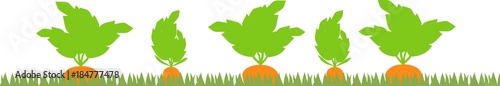 Vegetable patch with carrot silhouettes